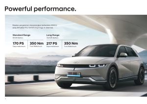 BROCHURE_IONIQ-5_BLUELINK_ID_page-0012