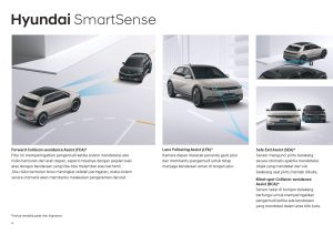 BROCHURE_IONIQ-5_BLUELINK_ID_page-0016