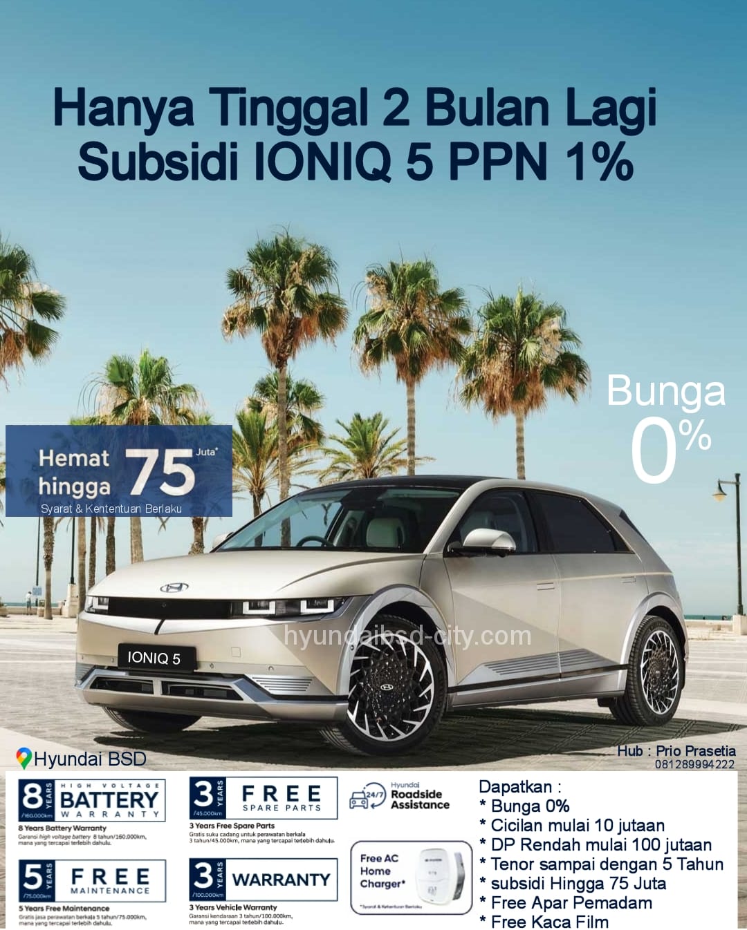 promo ioniq